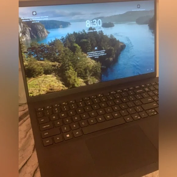 DELL INSPIRON 15 3000